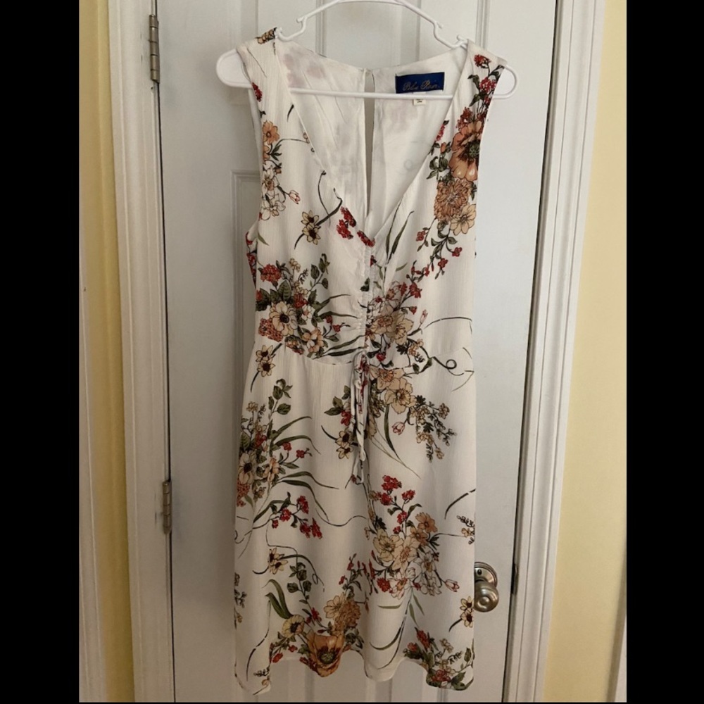 NWOT Francesca’s Blue Rain Floral Dress Size Large